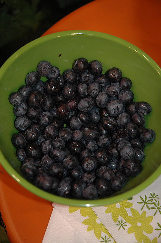 Blueberry Bushel&Berry® Peach Sorbet®